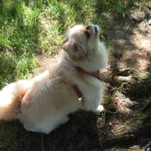 Meet your Posher, Kathleen